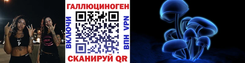 Псилоцибиновые грибы Psilocybine cubensis  Купить  Зеленоградск 